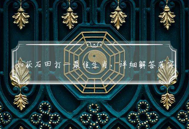 如获石田打一最佳生肖，详细解答落实