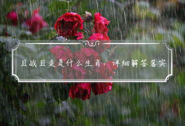 且战且走是什么生肖，详细解答落实