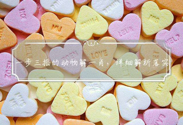 一步三摇的动物解一肖，详细解析落实