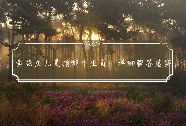 黄花女儿是指哪个生肖，详细解答落实