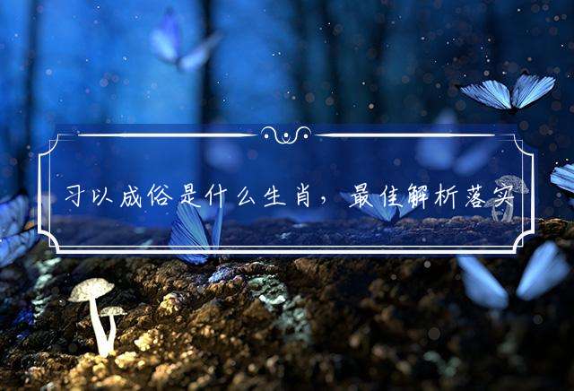 习以成俗是什么生肖，最佳解析落实