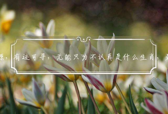 追本溯源，有迹可寻，无能只为不认真是什么生肖，最佳解析落实