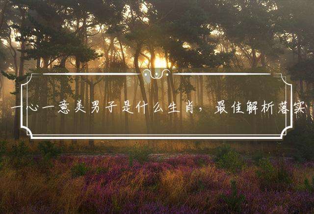 一心一意美男子是什么生肖，最佳解析落实