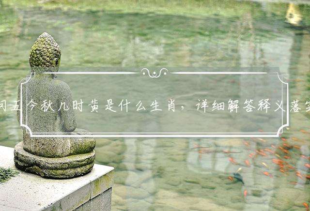 问五今秋几时黄是什么生肖，详细解答释义落实