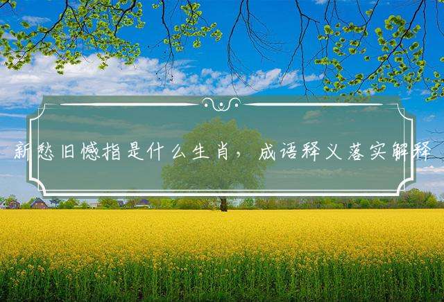 新愁旧憾指是什么生肖，成语释义落实解释