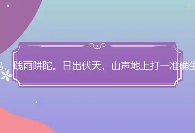 企木众鸟，践雨阱陀。日出伏天，山声地上打一准确生肖,最佳谜语落实解释