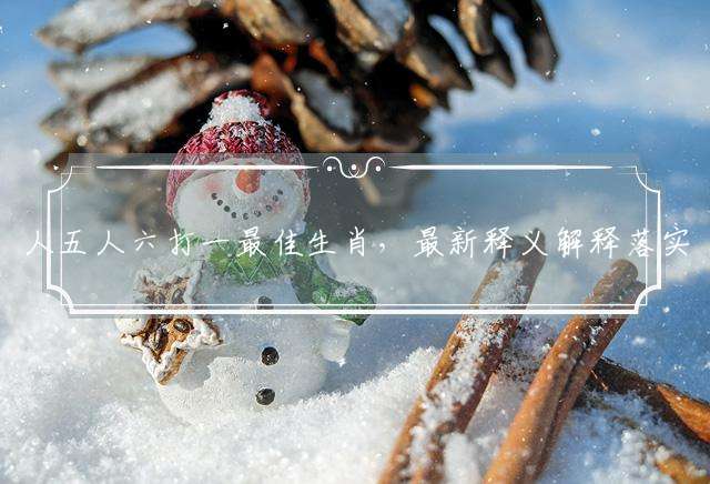 人五人六打一最佳生肖，最新释义解释落实