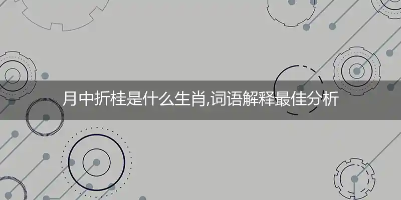 月中折桂是什么生肖,词语解释最佳分析