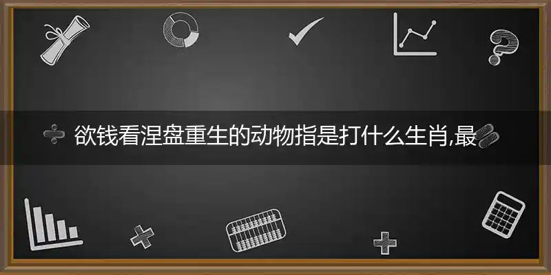 欲钱看涅盘重生的动物打一生肖