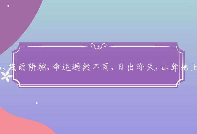 企木中鸟,践雨阱驼,命运迥然不同,日出浮天,山耸地上,天地连成一气是代表哪个生肖,成语释义答案解释
