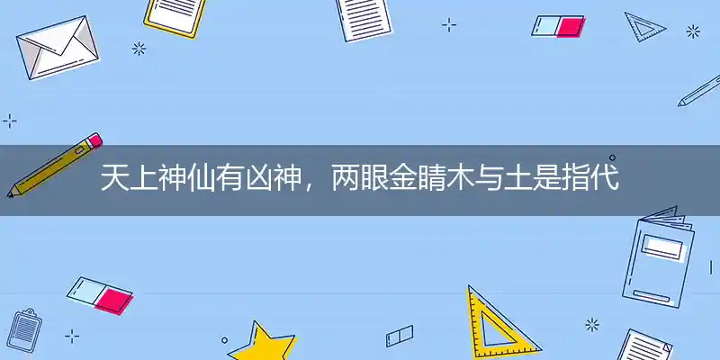 天上神仙有凶神，两眼金睛木与土是指代表准确生肖,释义答案解释
