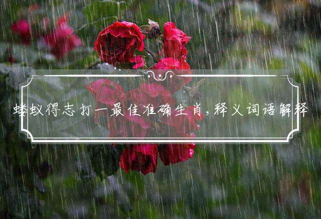 蝼蚁得志打一最佳准确生肖,释义词语解释