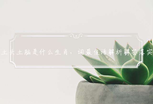 土头土脑是什么生肖，词最佳语解析解答落实