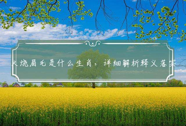 火烧眉毛是什么生肖，详细解析释义落实