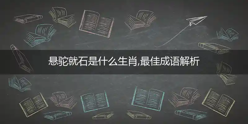 悬驼就石是什么生肖,最佳成语解析
