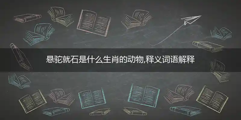 悬驼就石打一生肖