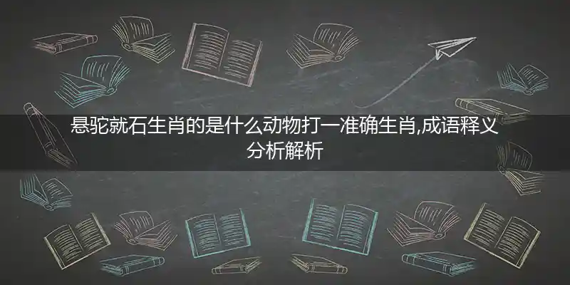 悬驼就石打一生肖